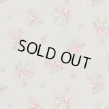 こうの早苗【リバイバル】